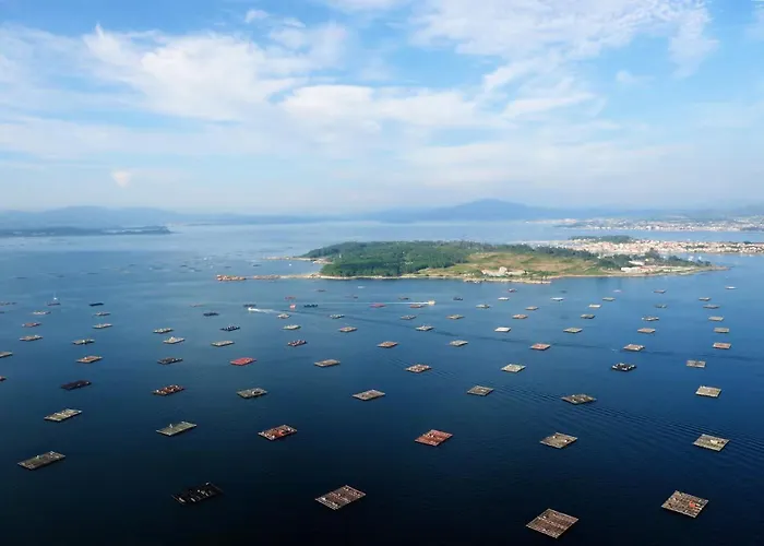 Ag Piso Lirio En El Centro De 坎加斯德穆拉索